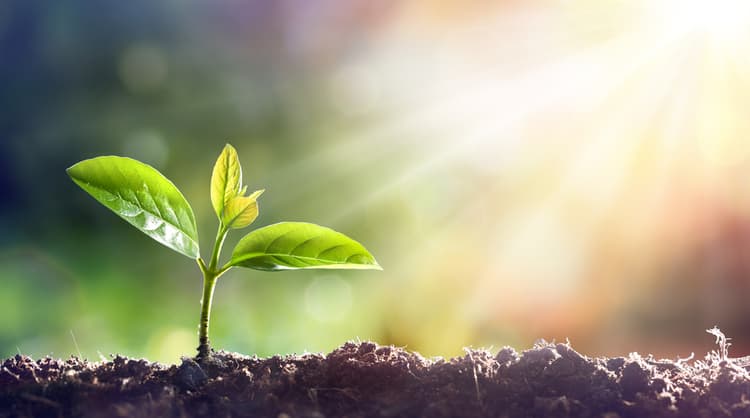 Im Excited to Continuing My Career Advancement