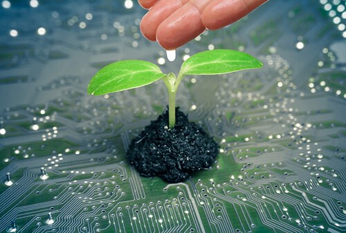plant growing on motherboard