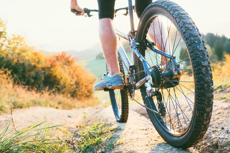 biking on nature track