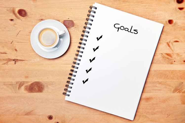 goals check list