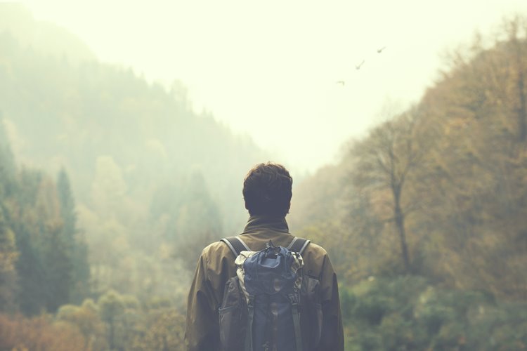 man hiking bushland