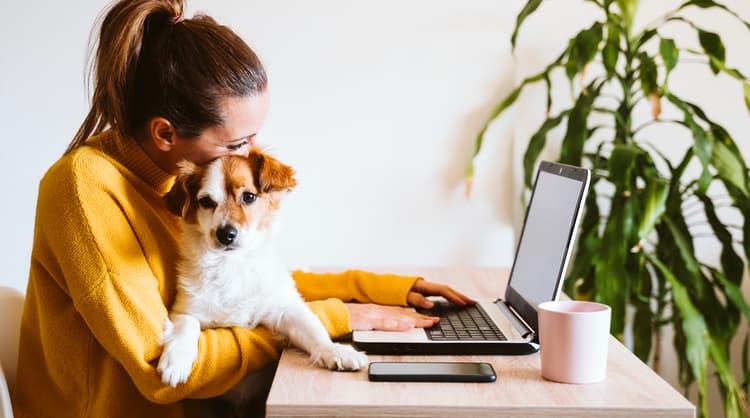 working from home with dog